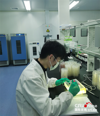 湖北首个黑茶产品质量检测中心在赤壁揭牌，推动茶产业高质量发展