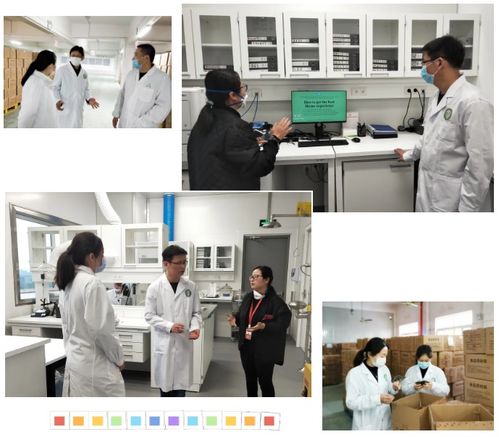 “浙里检”平台赋能“三服务” 助力食品企业减负增效