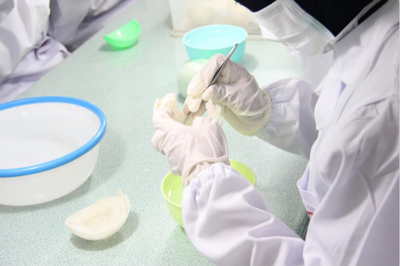 燕窝选购全指南 从入门到精通，找到适合你的那一盏