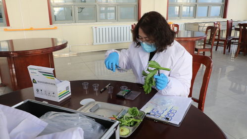 蠡县“你点我检”服务惠民，舌尖安全看得见